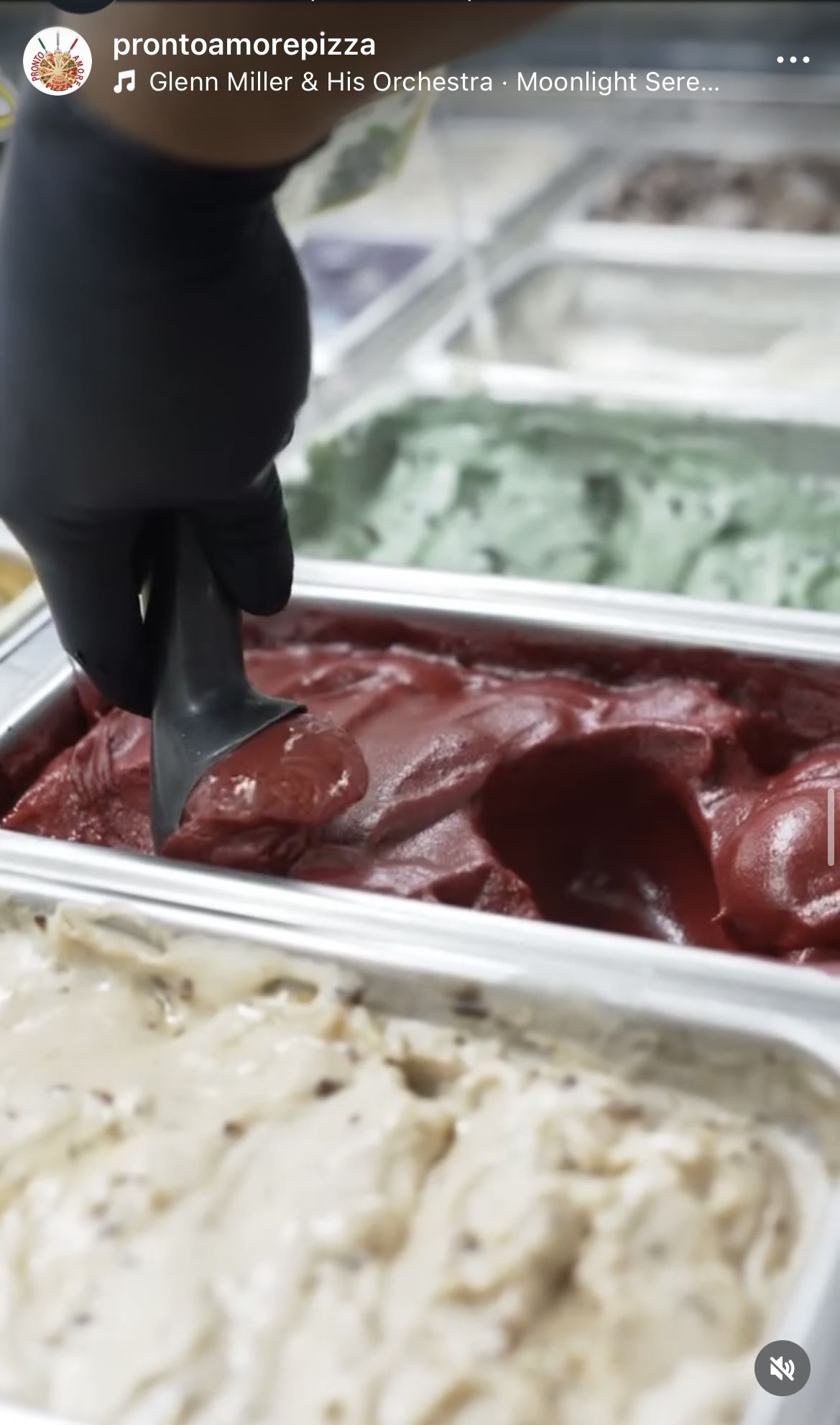 Gelato counter at Pronto Amore Pizza